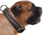 Mastiff collar