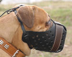 Mastiff muzzle,wire basket dog muzzle for Mastiff,leather dog muzzle for Mastiff,Cane Corso Mastiff,dog muzzles for German Mastiff