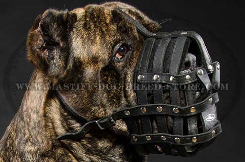 Leather Basket Canine Muzzle for Daily Walking