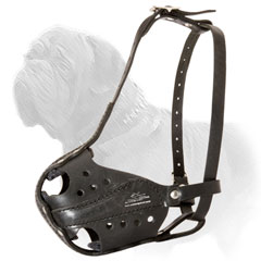 Mastiff Leather Dog Muzzle for Training and Walking