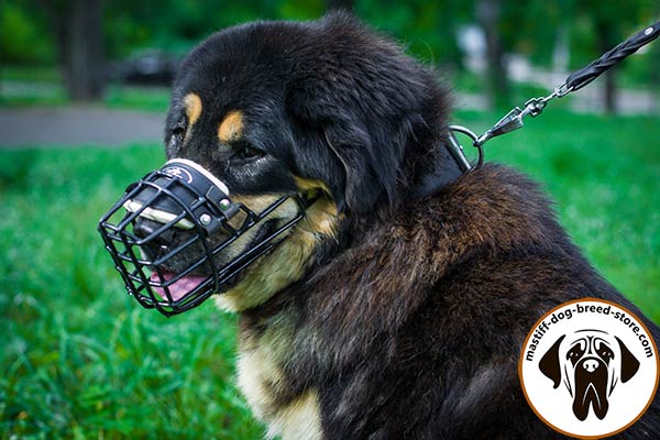 Special-rubber-covered metal cage dog muzzle for Mastiff winter walking