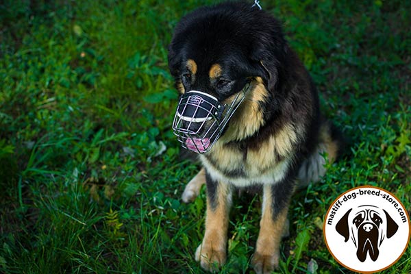 Wire dog muzzle for Mastiff with good air flow
