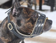 American Bandogge Mastiff Royal Nappa Leather Dog Muzzle