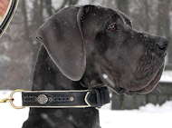 Royal Nappa Padded Hand Made Leather dog collar