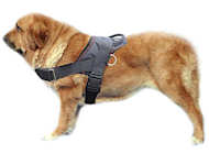 Spanish Mastiff Nylon tracking/pulling dog harness-Big harness Spanish Mastiff Nylon tracking/pulling dog harness-Big harness