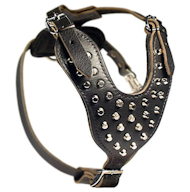 Mastiff Studded Leather Dog Harness with Pyramids