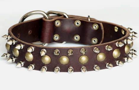 Designer leather spiked dog collar for Giant Schnauzer or - dogs with big neck