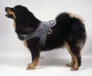 Tibetan Mastiff Nylon Tracking/ Pulling Dog Harness BEST HARNESS