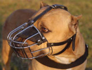 American Bandogge Extra Large Wire Basket dog muzzle