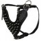 English Mastiff Spiked leather dog harness-Deluxe spiked harness