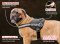 Buy Everyday Reflective Dog harness for Bullmastiff with handle