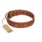 "Star Shine" Exclusive FDT Artisan Tan Leather Mastiff Collar with Silver-Like Adornments
