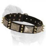 Designer Leather Dog Collar with Plates and Spikes for Mastiff Walking/Training
