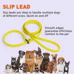 Biothane Waterproof Slip Lead_10