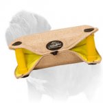 Basic Puppy Training Mastiff Bite Builder