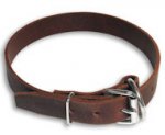 Leather Buckle Dog Collar Mastiff