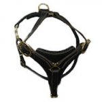 Tracking / Walking dog harness made of leather - H3