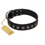 "Silent Star" Handmade FDT Artisan Designer Black Leather Mastiff Collar with Engraved Plates