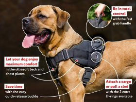 Mastiff Pulling, Tracking, Walking and Training Nylon Harness