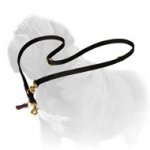 Practical in Use Nylon Mastiff Dog Leash
