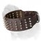 Spiked Mastiff Dog Collar Extra Wide
