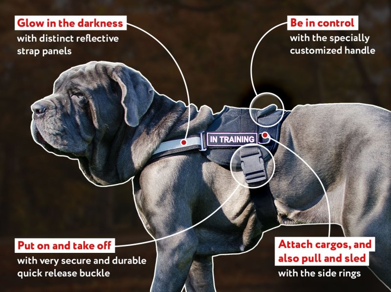 Canine Nylon Patrol Harness for Mastiff - Click Image to Close