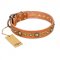 "Feast of Luxury" FDT Artisan Tan Leather Mastiff Collar with Old Bronze Look Circles