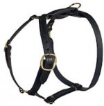 Similar Lupine adjustable dog harness for Mastiff