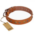 "Golden'n'Silver Luxury" FDT Artisan Leather Mastiff Collar with Engraved Studs