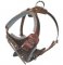 K9 Pro Leather Dog Harness for Mastiff