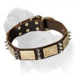 Fashion Leather Collar with Nickel Spikes and massive Brass Plates for Mastiff Walking