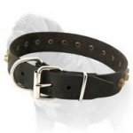 Adjustable Wide Leather Dog Collar for Mastiff Walking