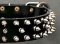 Canine Deluxe Spiked Leather Dog Collar for Mastiff
