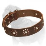 'Elegant Flower' Mastiff Leather Dog Collar