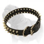 2 Rows Spiked Leather Mastiff Dog Collar