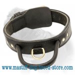 Incredibly Durable Mastiff Dog Collar with Handle_1
