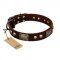 "Magic Amulet" Brown Leather Mastiff Collar with Skulls and Plates