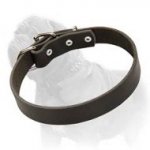 Fantastic Leather Buckle Collar for Daily Walks and Training of Your Mastiff