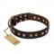 "Bronze Sheen" FDT Artisan Leather Mastiff Collar with Brass-Plated Studs