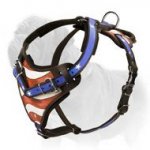 Mastiff Harness for Attack Work Painted with Patriotic Symbols