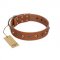 "Silver Age" Fashionable FDT Artisan Tan Leather Mastiff Collar with Silver-Like Studs