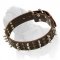 Fashionable and Exquisite Leather Collar for Strong Mastiff - Leather Masterpiece with Spikes and Studs