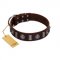 "Spiky Way" FDT Artisan Brown Leather Mastiff Collar with Silver-Like Decorations