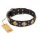 "Fancy-Schmancy" FDT Artisan Studded Leather Mastiff Collar