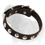 Decorative Leather Dog Collar with Nickel Studs for Walking Mastiffs, Puppies and Small Breed Dogs