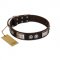 "Baller Status" FDT Artisan Brown Leather Mastiff Collar Adorned with a Set of Chrome Plated Studs and Plates