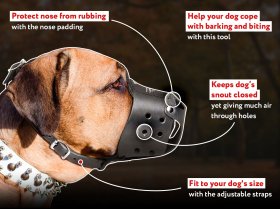 Gorgeous and Very Practical Leather Dog Muzzle for Active Mastiff Dogs