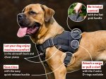 Mastiff Pulling, Tracking, Walking and Training Nylon Harness