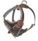 MASTIFF adjustable dog harness - H1