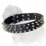 Custom Super Spiked Leather Mastiff Collar -3 Rows of Spikes